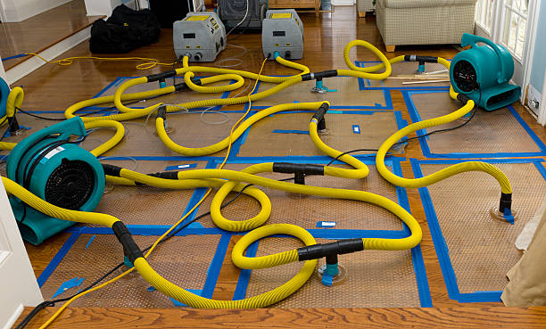 Professional Emergency Water Removal technician working in Worcester, MA